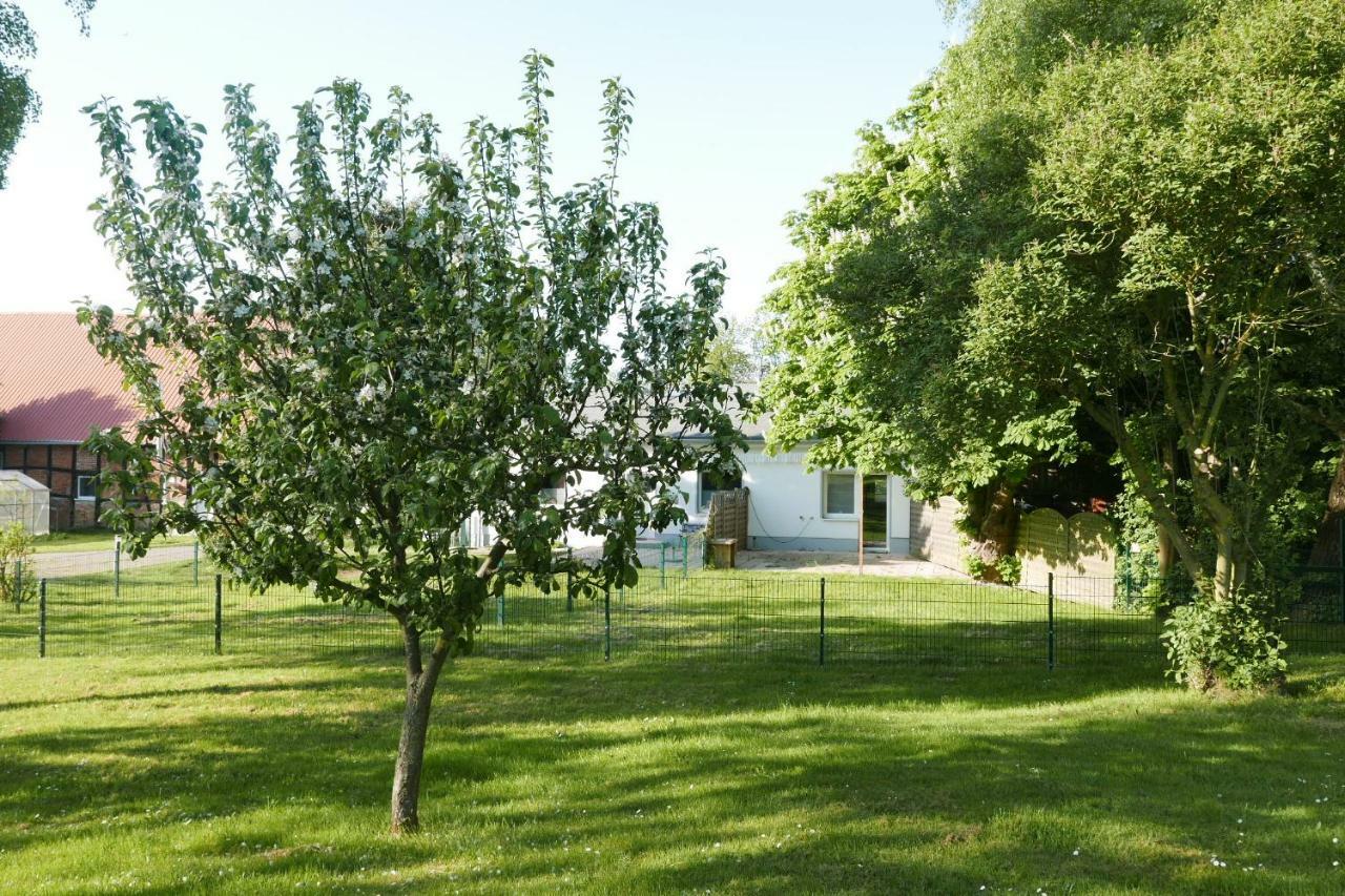 Ferienhaus - 135 Qm - Naehe Insel Poel Ostsee Damekow エクステリア 写真