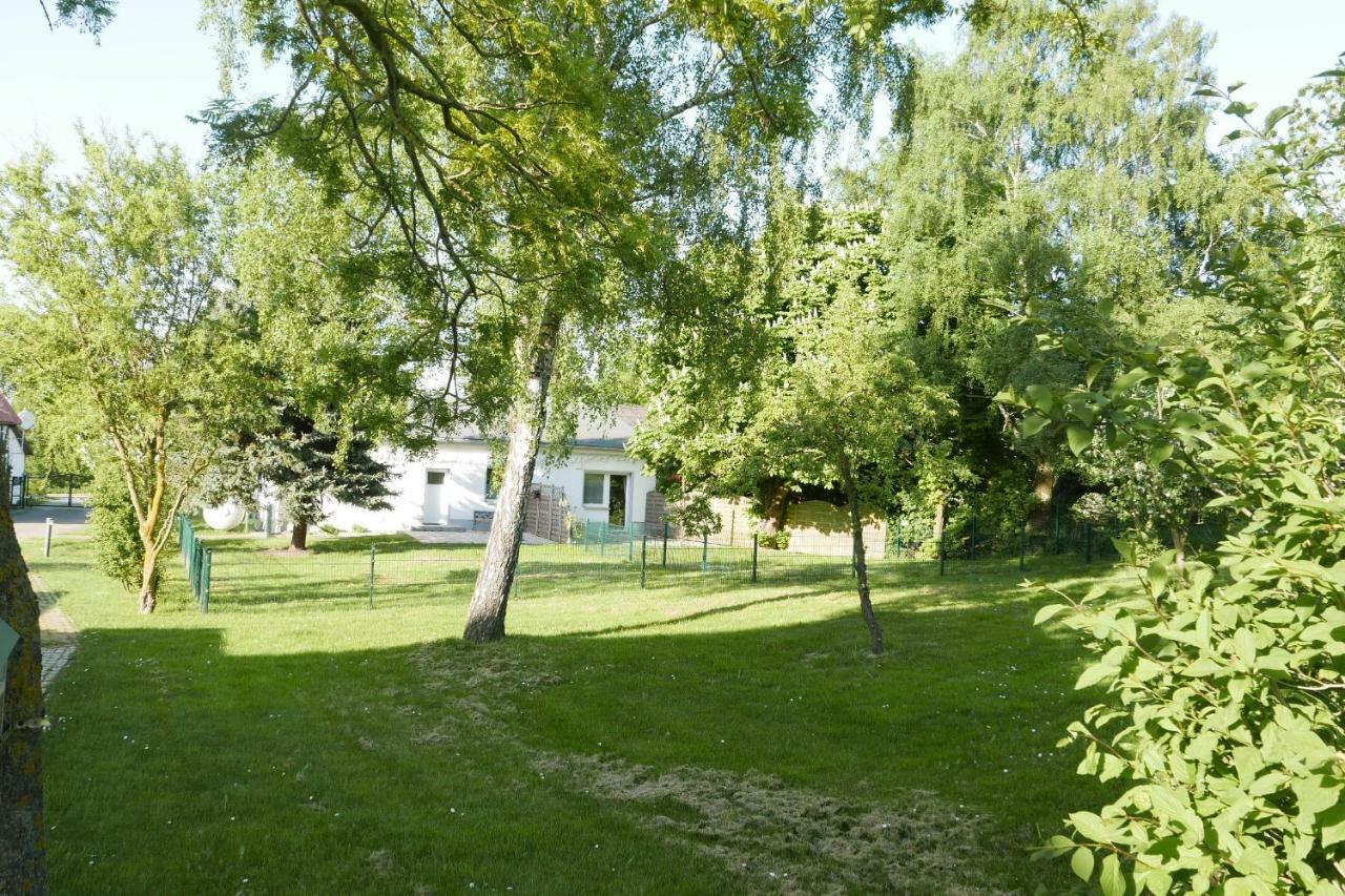 Ferienhaus - 135 Qm - Naehe Insel Poel Ostsee Damekow エクステリア 写真
